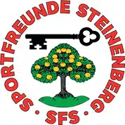 Sportfreunde Steinenberg (Mehrspartenverein)